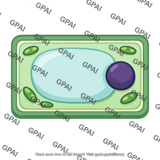 Plant cell