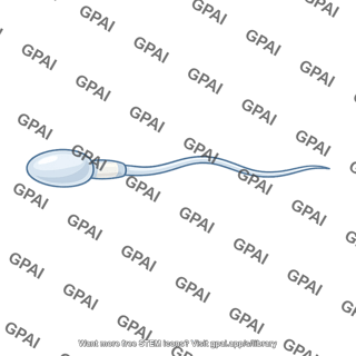 Sperm