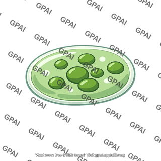 Peas in sauce