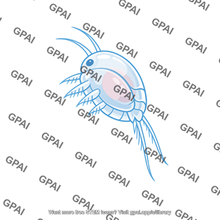 Planktonic animal