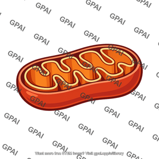 Mitochondrion
