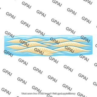 Submerged dune topography