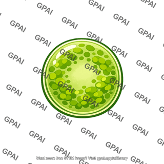 Alga microscopic single cell