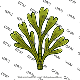 Alga multicelled