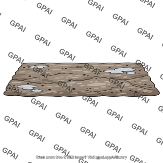 Mud flat