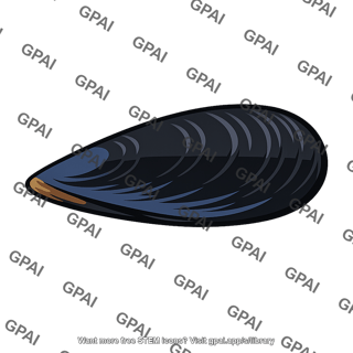 Large mussel