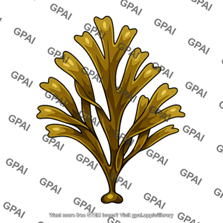 Brown macroalga
