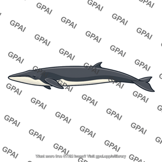 Finback whale