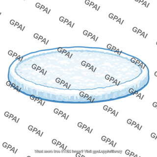 Sea ice pancake