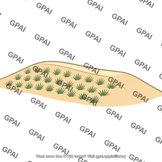 Artificial dune