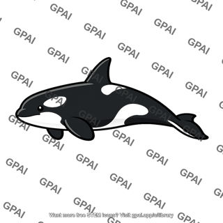 Killer whale juvenile