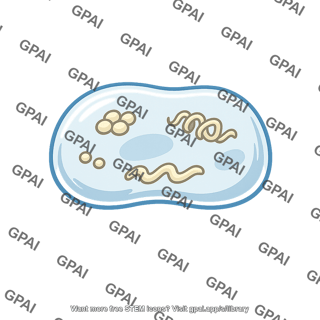 Cell like complex