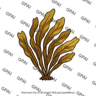 Macroscopic alga brown