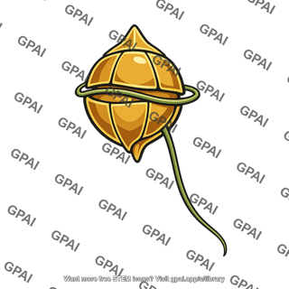 Dinoflagellate flagellated