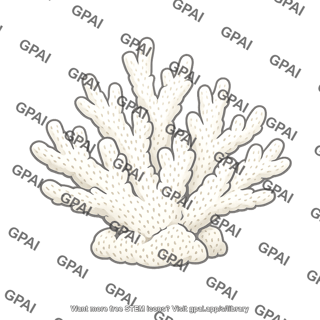 Bleached coral