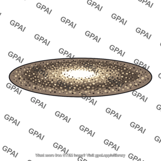 Debris disk