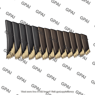 Baleen plate row