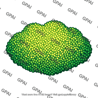 Phytoplankton bloom