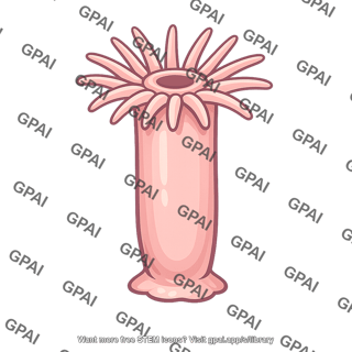 Cnidarian polyp