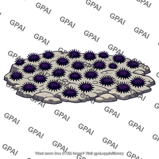 Urchin barren