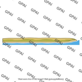 Coastal area low lying
