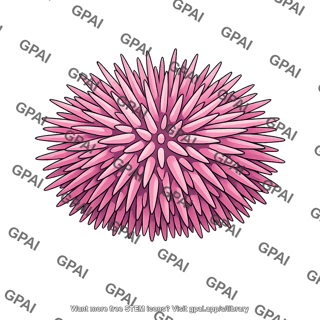 Sea urchin pink