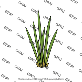 Marsh plant