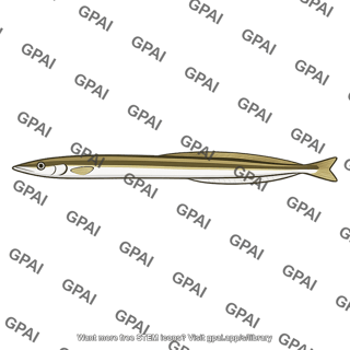 Sand eel