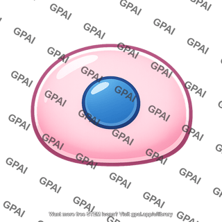 Skin cell hydrated