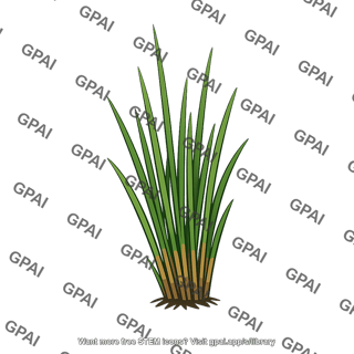 Marsh plant
