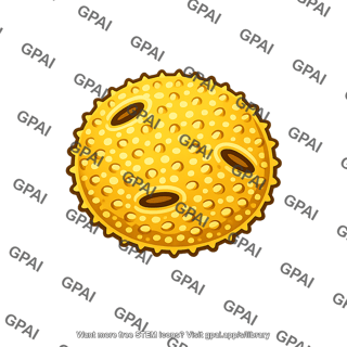 Pollen grain