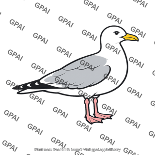 Seagull