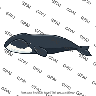 Bowhead whale