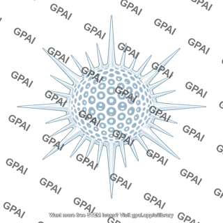 Radiolarian shell