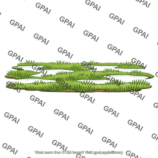 Low marsh