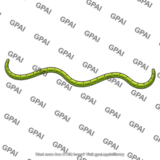 Algal filament