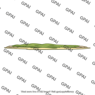 Low lying island
