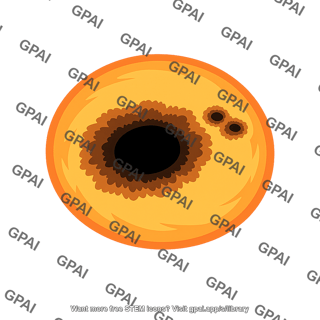 Sunspot