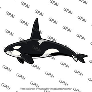 Killer whale male