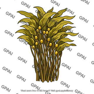 Kelp bed