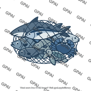 Bycatch