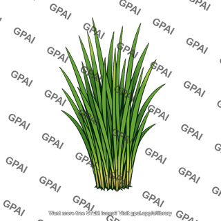 Spartina