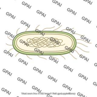 Monera cell