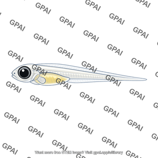 Fish larva