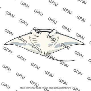 Manta ray