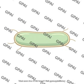 Cell anucleate