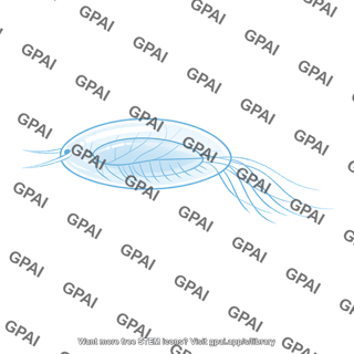 Transparent plankton