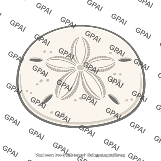 Sand dollar