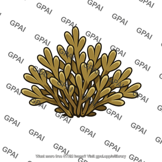Shrub kelp
