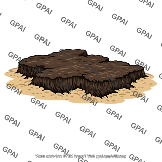 Peat outcrop